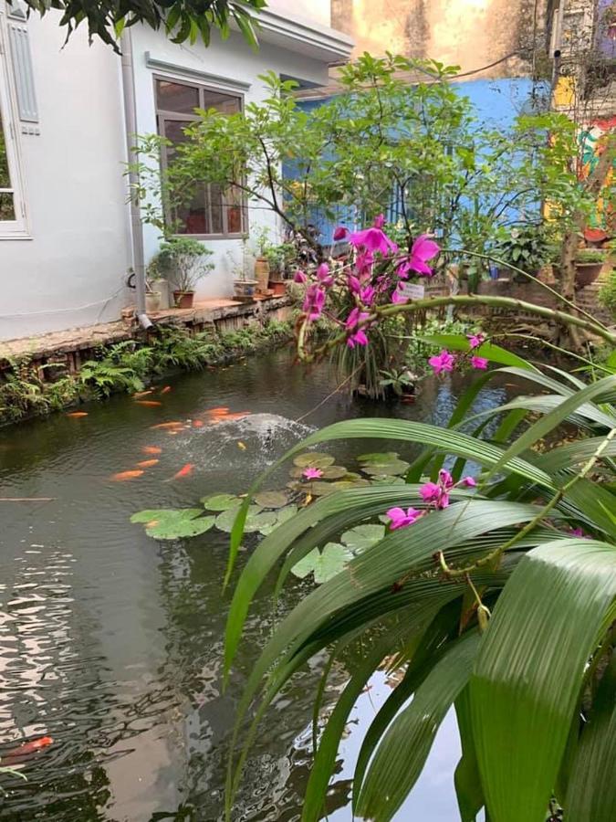 Chez Madame Binh Bed & Breakfast Hanoi Eksteriør bilde